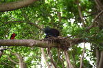 DSC_9072.JPG